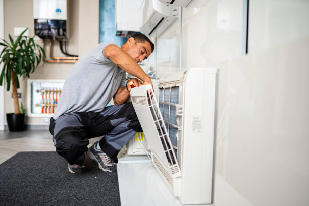 Best Professional Duct Cleaning Services  in Remlap, AL