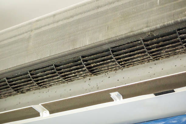 Best Best Air Duct Cleaning Company  in Remlap, AL