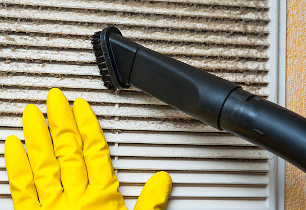 Best Duct Cleaning Specialists  in Remlap, AL