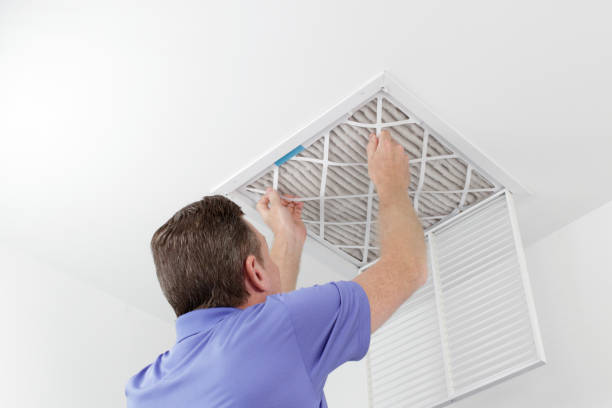 Best Affordable Duct Cleaning Services  in Remlap, AL